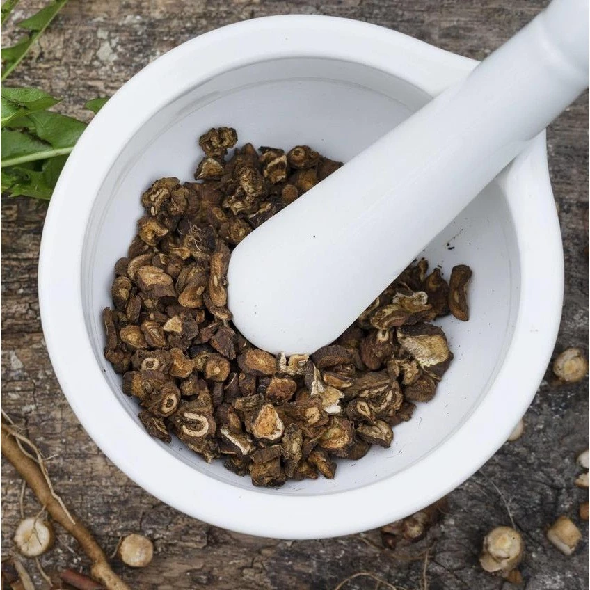 BỘ CHÀY CỐI SILIT Monser Porzellan– HÀNG NHẬP ĐỨC