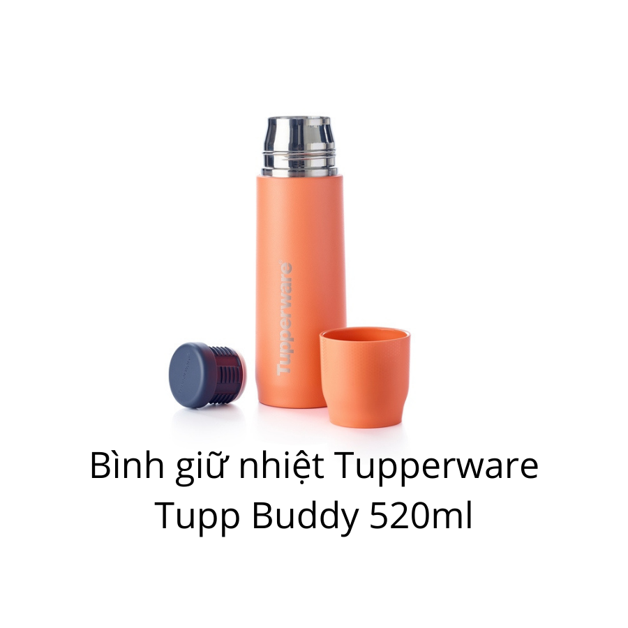 Bình giữ nhiệt Tupperware Tupp Buddy 520ml – TUPPERWARE CHÍNH HÃNG 2024 ❤️