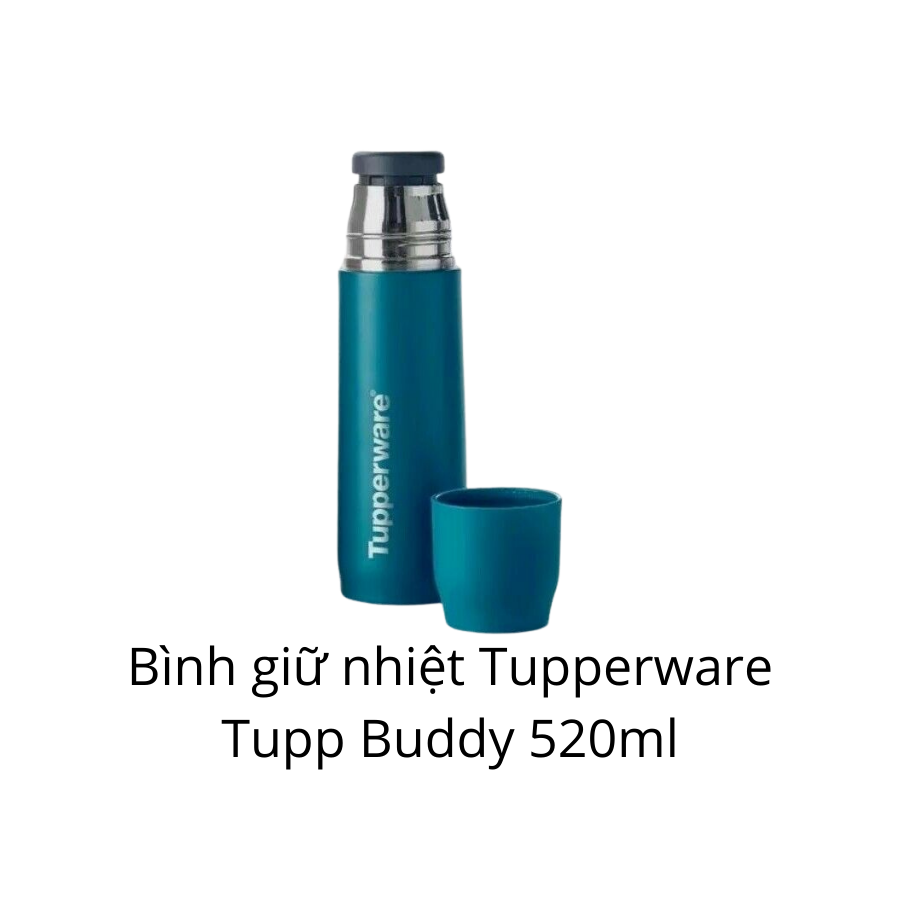 Bình giữ nhiệt Tupperware Tupp Buddy 520ml – TUPPERWARE CHÍNH HÃNG 2024 ❤️