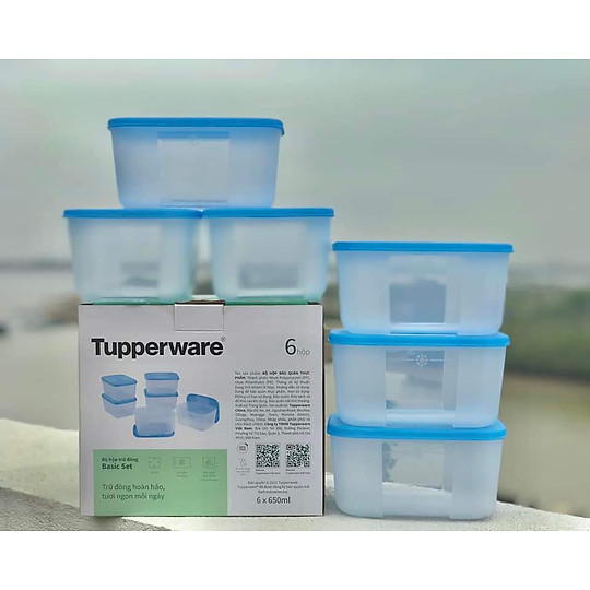 Mua Bộ Hộp Trữ Đông Tupperware Freezermate Basic 650ml (6 Hộp) tại Gia dụng Levimart | Tiki