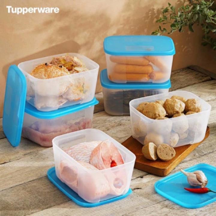 Bộ Hộp Trữ Đông Freezermate 650ml (6 Hộp) - Tupperware - Bếp nhà Lanny