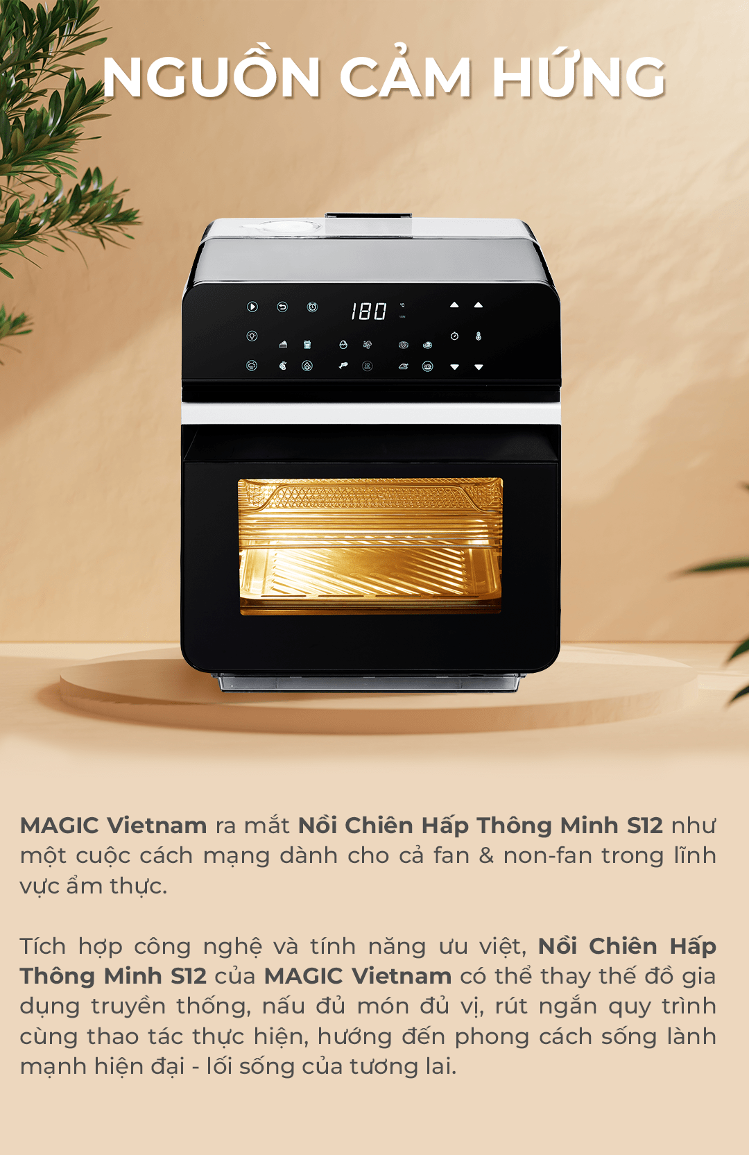 Nồi chiên hấp Magic Eco S12