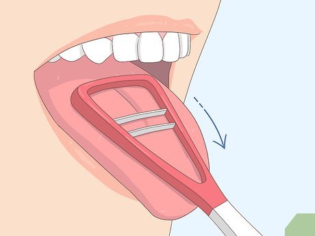 Dụng cụ cạo lưỡi DONTODENT Zungenreiniger (màu xanh lá, xanh dương, đỏ, tím) 2