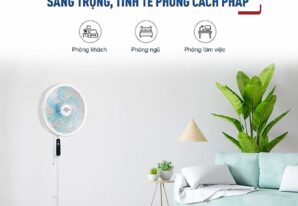 3 bước vệ sinh quạt cây không cần tháo khung