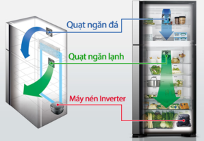 Cấu tạo của tủ lạnh Inverter