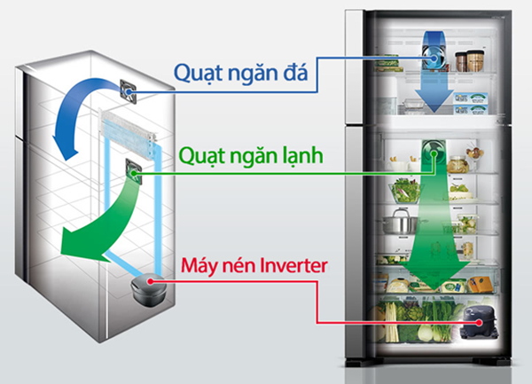 Cấu tạo của tủ lạnh Inverter