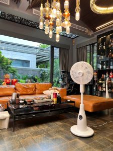 Quạt Cây Phun Sương Tạo Ẩm De Muller 2