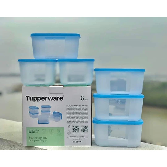 Mua Bộ Hộp Trữ Đông Tupperware Freezermate Basic 650ml (6 Hộp) tại Gia dụng Levimart | Tiki