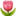 🌷