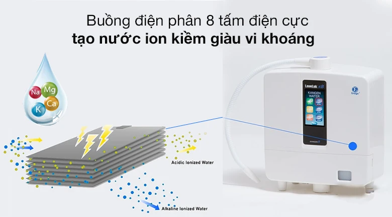 Buồng điện cực - Máy lọc nước ion kiềm Kangen LeveLuk K8 8 tấm điện cực Buồng điện cực - Máy lọc nước ion kiềm Kangen LeveLuk K8 8 tấm điện cực
